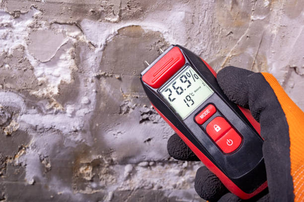 Best Commercial Mold Removal  in Allison Rk, PA