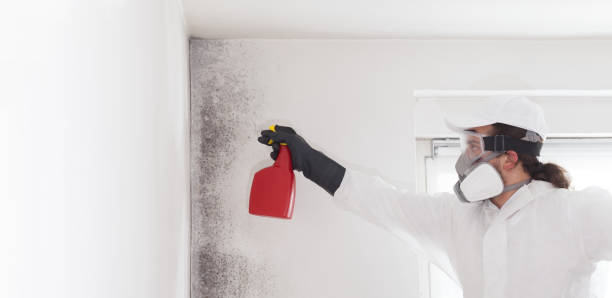 Best Mold Testing  in Allison Rk, PA